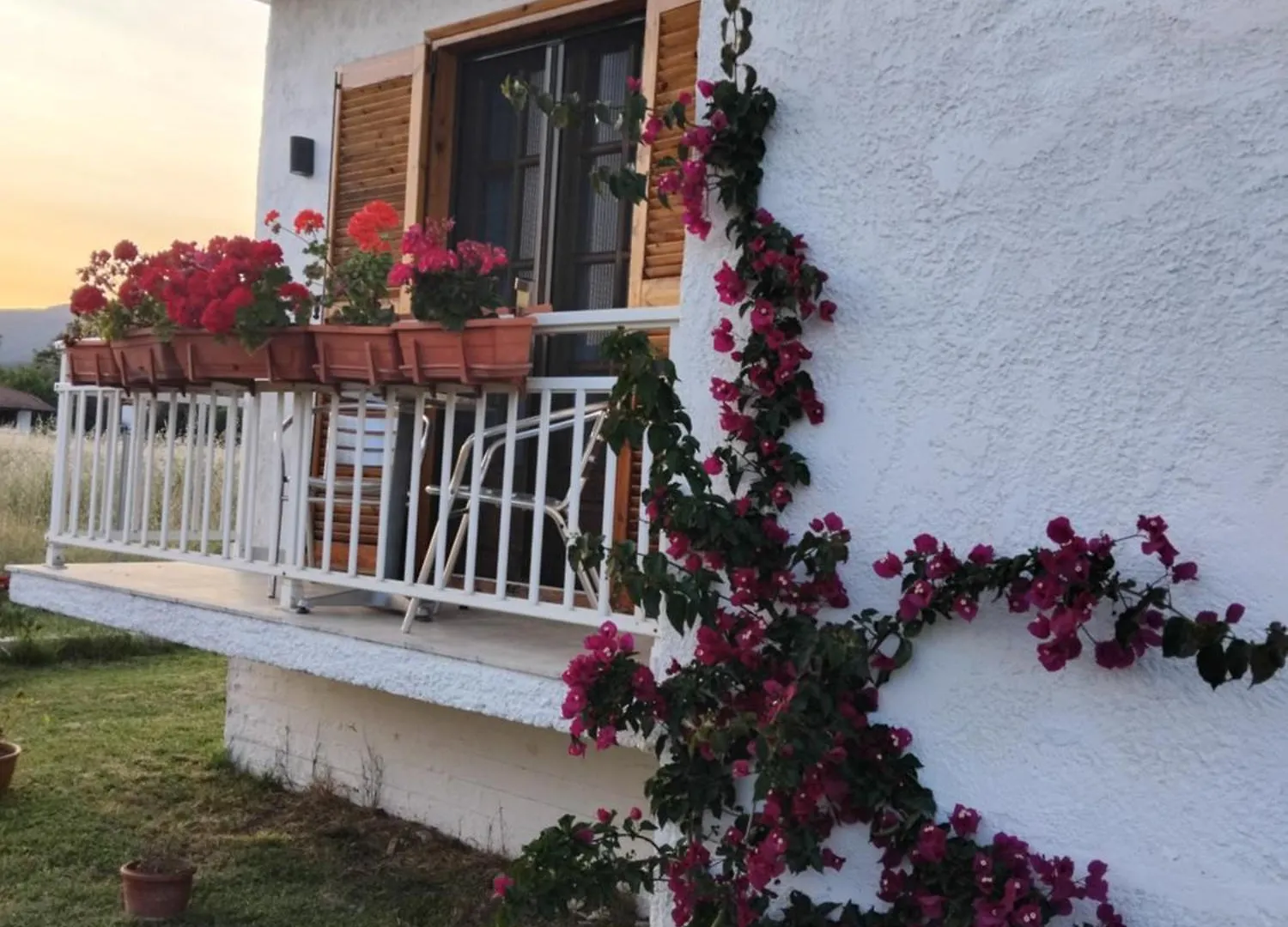 Gaestehaus Edelweiss Olympiada Halkidikis اليونان
