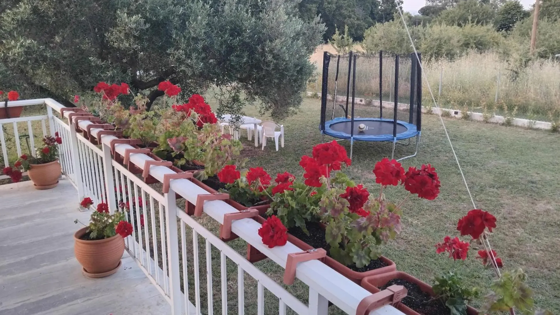 Gaestehaus Edelweiss Olympiada Halkidikis اليونان